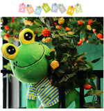 Big-eyed Green Frog Plush Stuffed Animal Toys